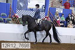 12r12_7698 proof