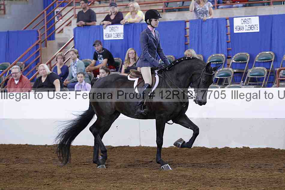 Proof 12r12_7705
