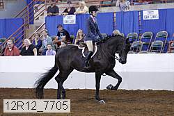 12r12_7705 proof