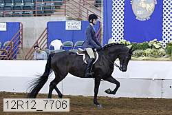 12r12_7706 proof
