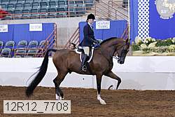 12r12_7708 proof