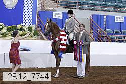 12r12_7744 proof