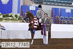 12r12_7745 proof