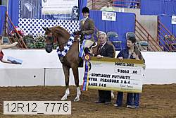 12r12_7776 proof