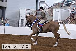 12r12_7789 proof