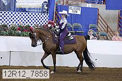 12r12_7858 proof