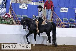 12r12_7863 proof