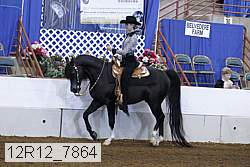 12r12_7864 proof