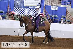 12r12_7865 proof
