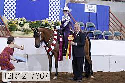 12r12_7867 proof