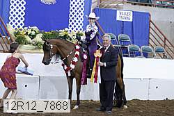 12r12_7868 proof
