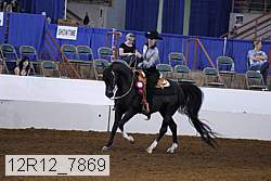 12r12_7869 proof