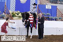 12r12_7872 proof
