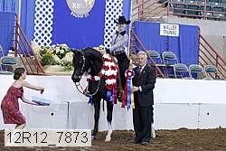 12r12_7873 proof