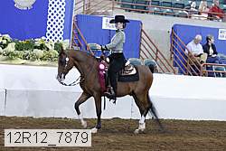 12r12_7879 proof