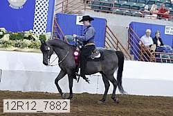 12r12_7882 proof