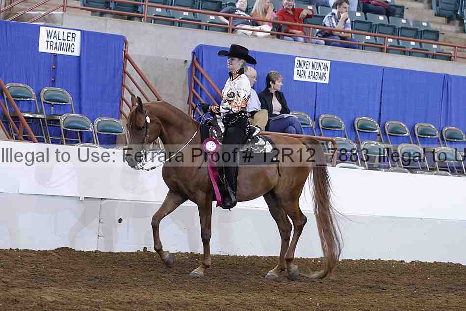 Proof 12r12_7883