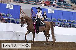 12r12_7883 proof