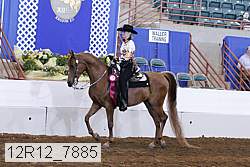12r12_7885 proof