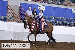 12r12_7887 proof