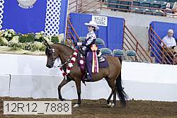 12r12_7888 proof