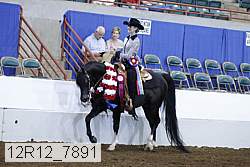 12r12_7891 proof