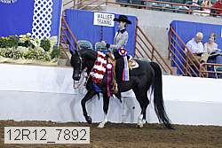 12r12_7892 proof
