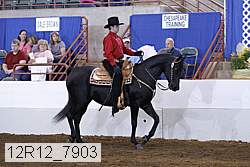 12r12_7903 proof