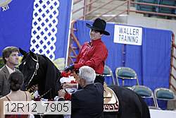 12r12_7905 proof