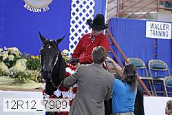 12r12_7909 proof
