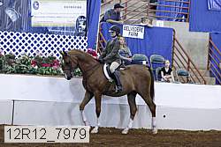 12r12_7979 proof