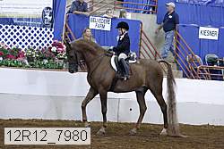 12r12_7980 proof