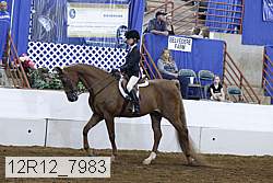 12r12_7983 proof