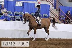 12r12_7990 proof