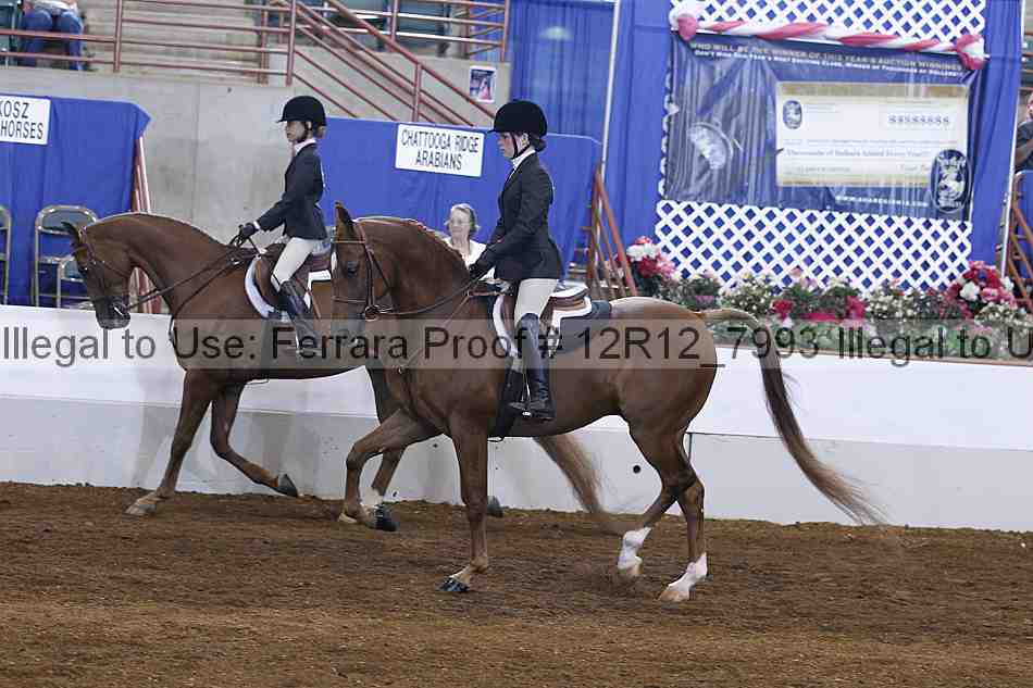 Proof 12r12_7993