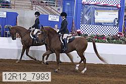 12r12_7993 proof