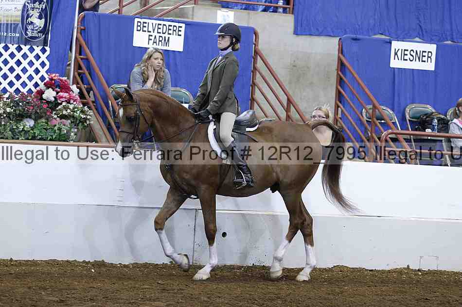 Proof 12r12_7995