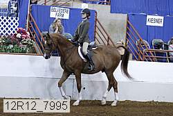 12r12_7995 proof