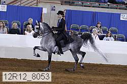 12r12_8053 proof