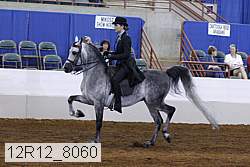 12r12_8060 proof