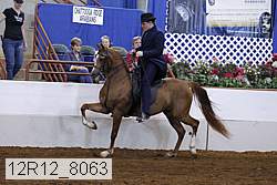 12r12_8063 proof