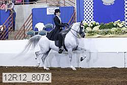 12r12_8073 proof