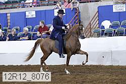 12r12_8076 proof