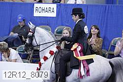 12r12_8079 proof