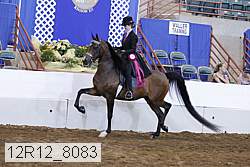12r12_8083 proof