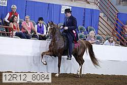 12r12_8084 proof