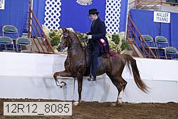 12r12_8085 proof