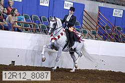 12r12_8087 proof