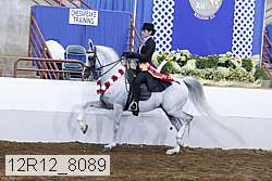 12r12_8089 proof
