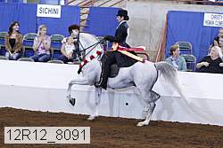 12r12_8091 proof